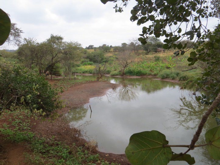 sand dam pond